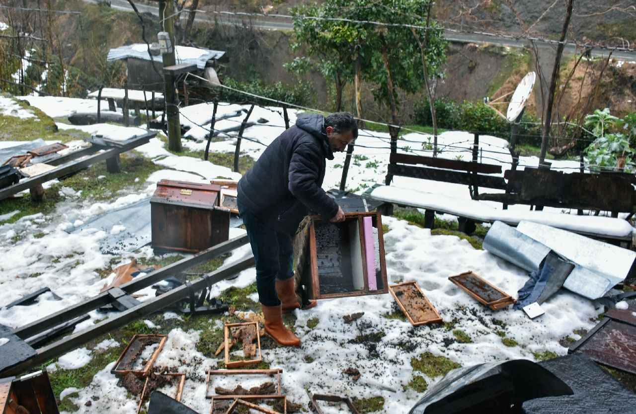 Rize'de kış uykusundan erken uyanan ayılar aç kalınca köye inip talan etti