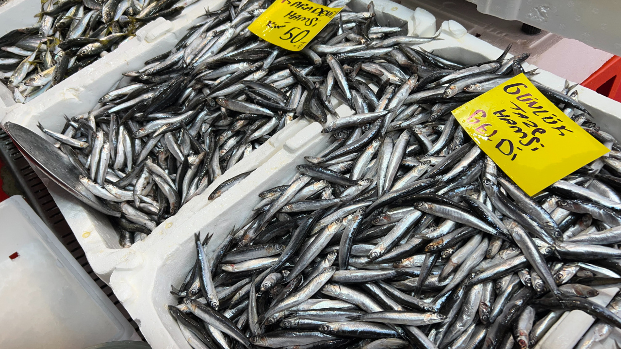 Balık avı yasağına sayılı günler kaldı! Tezgahlardaki fiyatlar cepleri yaktı