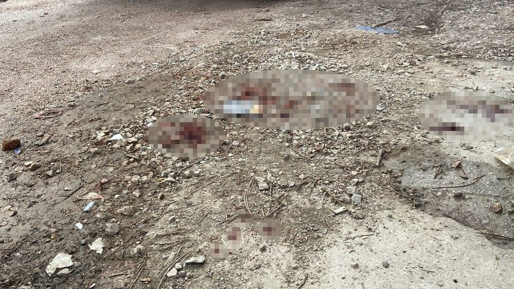 Konya'da sedyedeki yaralının kafasına sıkıp öldürdü! Doktora silah dayayıp bakın ne demiş