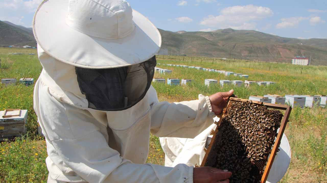 Bursa'ya Türkiye'nin ilk arı pazarı kuruluyor