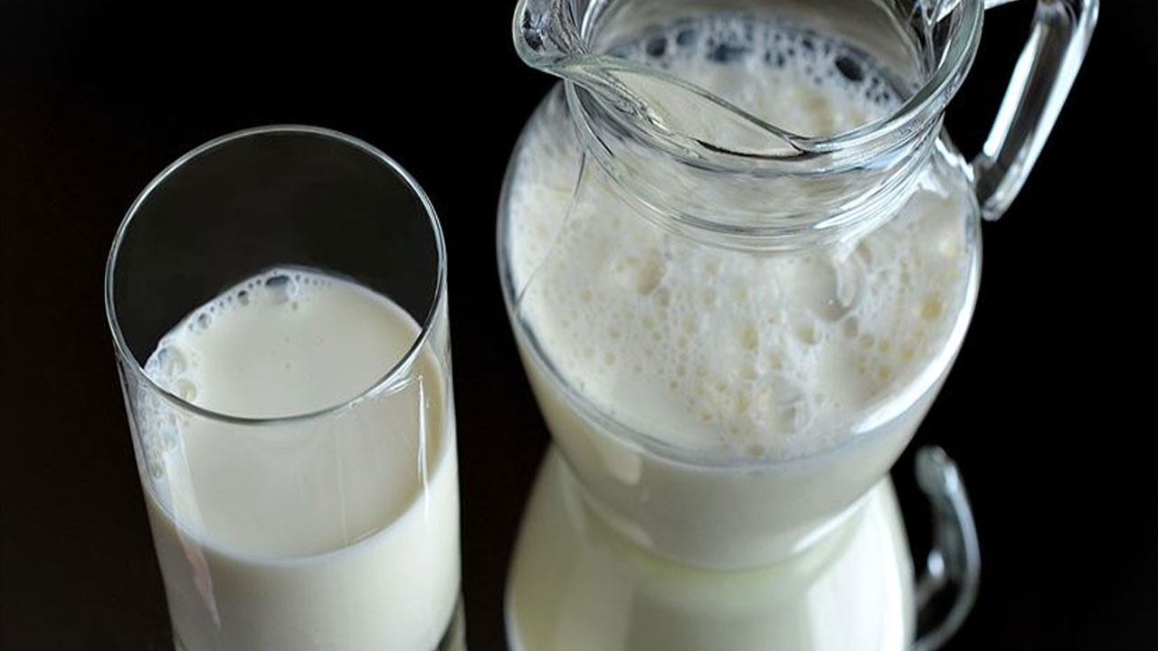 Çorum'da "Dünya Süt Günü"nde yarım ton süt dağıtıldı