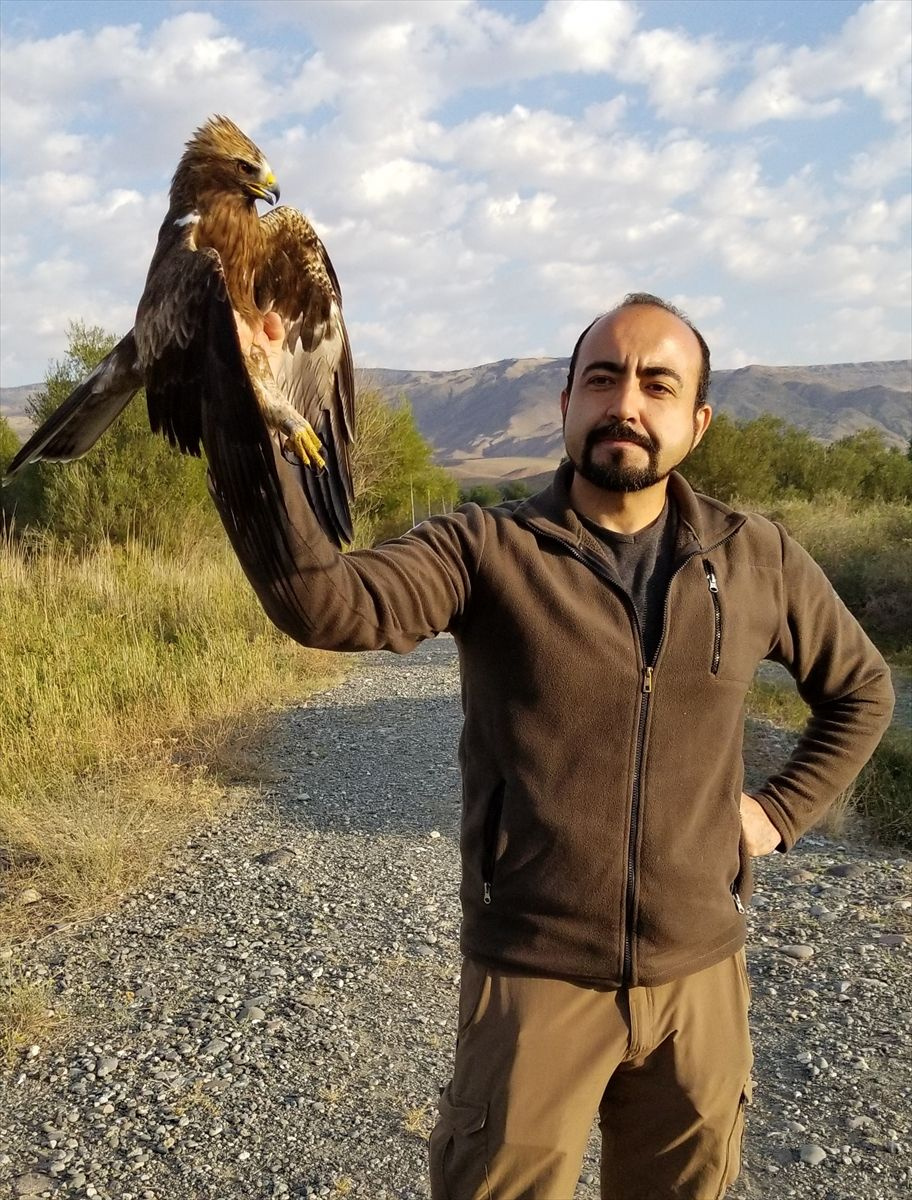 Iğdır'da kartala takıldı ilginç şeyler ortaya çıktı! Uydudan takip ettiler