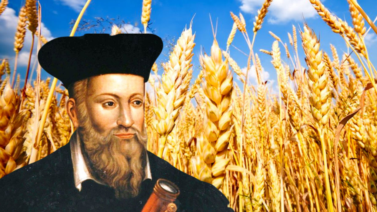 Her dediği çıkıyor Nostradamus'un 2022 kehaneti tüyler ürpertti: Buğday zamlanınca insanlar...