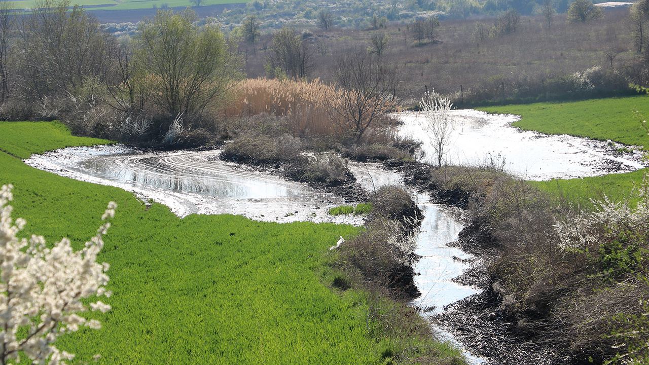 Edirne'de çevre felaketine sebep olan zift için çalışma başlatıldı