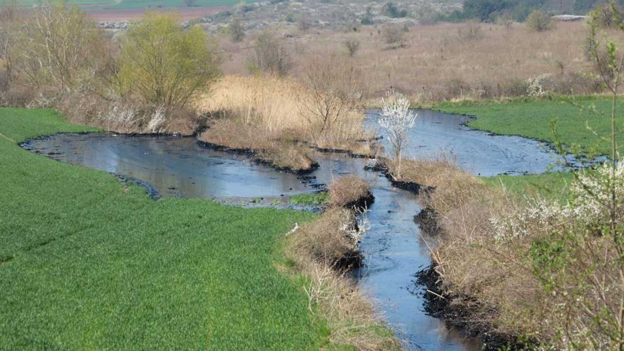 Edirne'de çevre felaketi! Tonlarca zift çevreye yayıldı