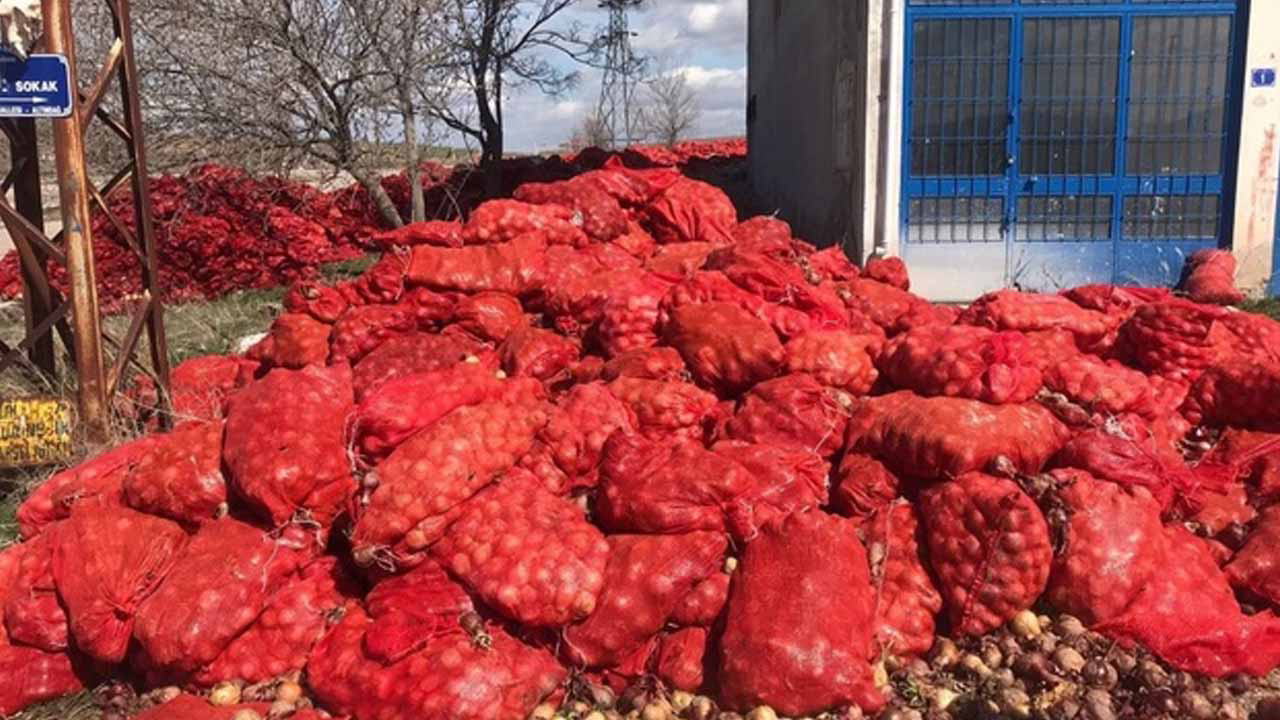 Ticaret Bakanlığı çöpe atılan sebzelerle ilgili açıklama yaptı