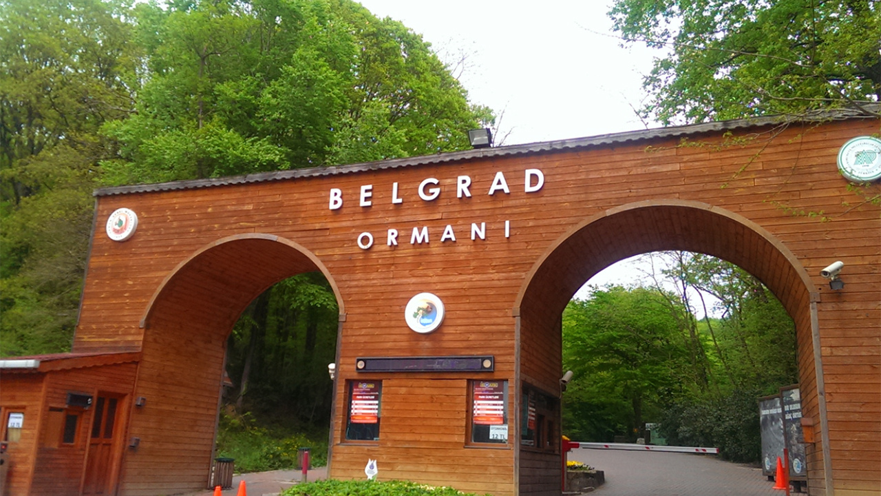 İstanbul Büyükşehir'e zam tepkisi Belgrad Ormanı'na giriş ücreti şoke etti