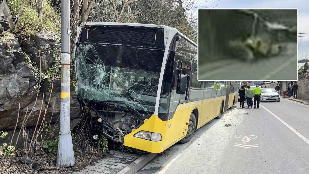 İstanbul'da İETT otobüsü kayalıklara daldı! Feci kazanın görüntüsü çıktı: Adeta şaha kalktı