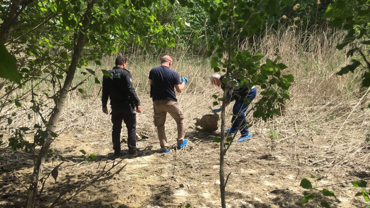 Adana'da korkunç olay! Odun toplayan işçiler kafatası buldu: Ekipler harekete geçti