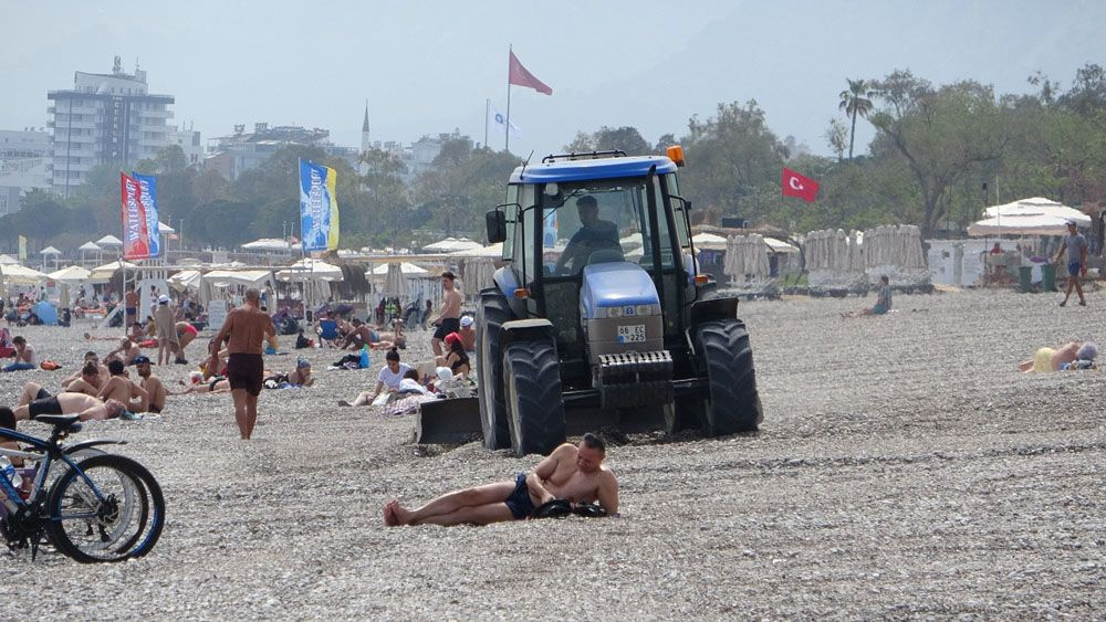 Dünyaca ünlü sahilde şaşkına çeviren görüntü! Turistler güneşlenirken tarla gibi sürüldü