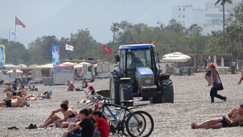 Dünyaca ünlü sahilde şaşkına çeviren görüntü! Turistler güneşlenirken tarla gibi sürüldü