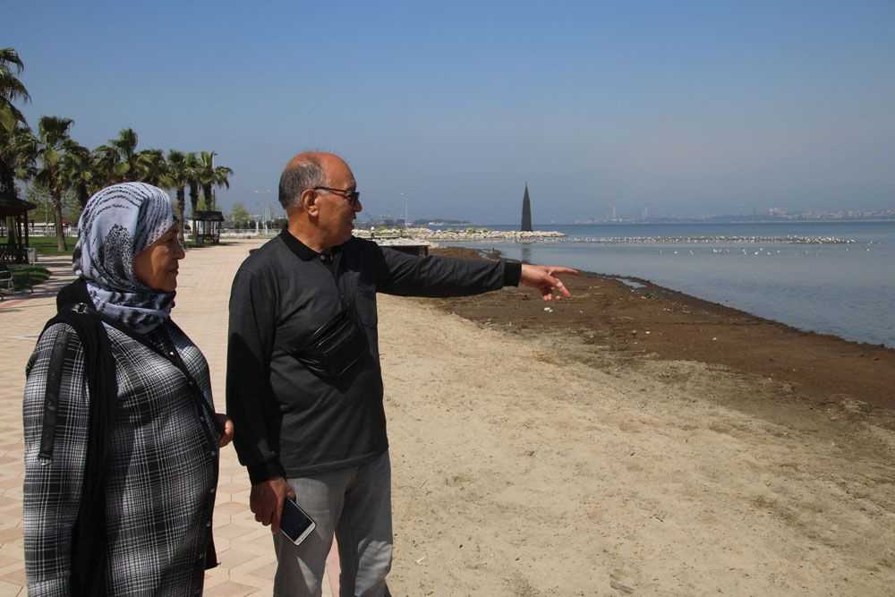 Kocaeli'de sahili gübre bastı bırakın insanı martı bile uğramıyor