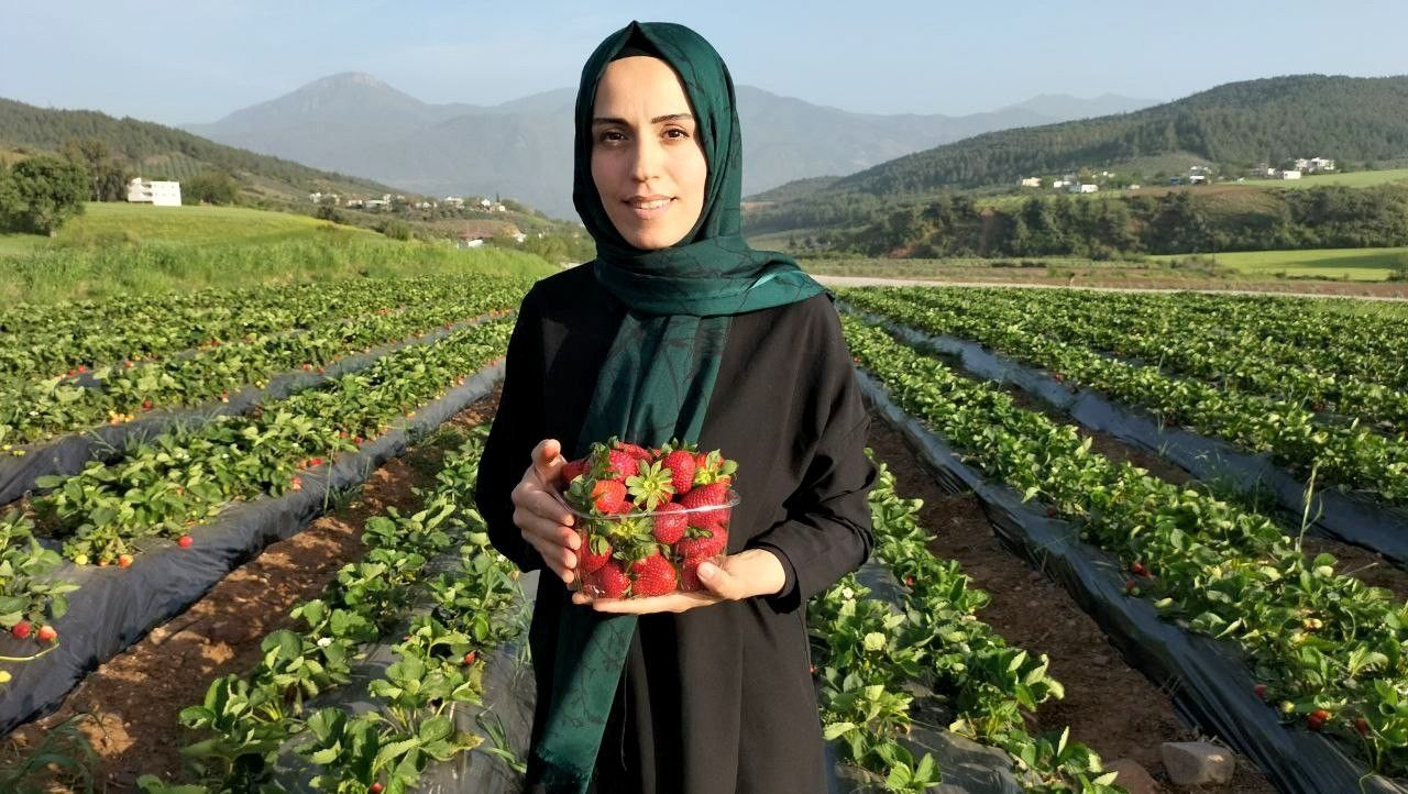 Meraktan başladılar şimdi paraya para demiyorlar...