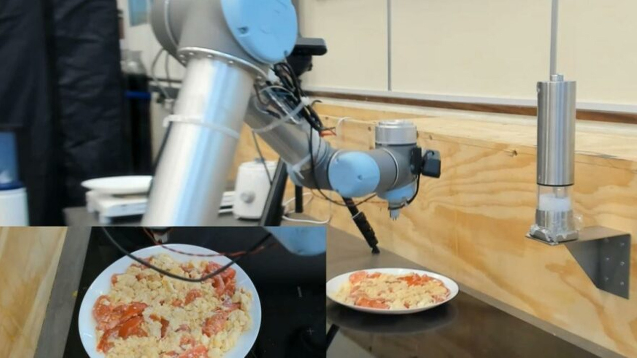 Bilim insanları geliştirdi! Yemekleri tadan robotlar görücüye çıktı