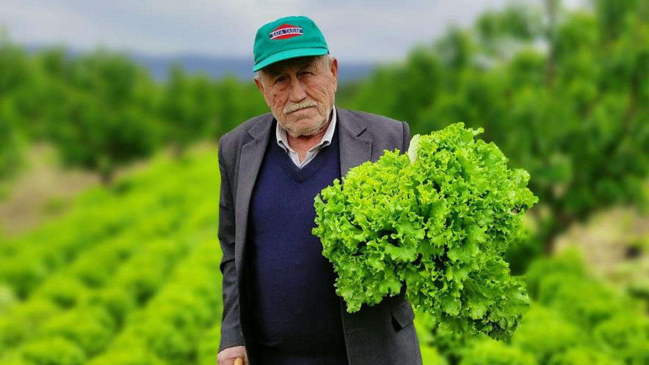 Fiyatlar şoke ediyor! Tarlada 2 tezgahta 10 lira "Uygun fiyata yemek isteyen..."