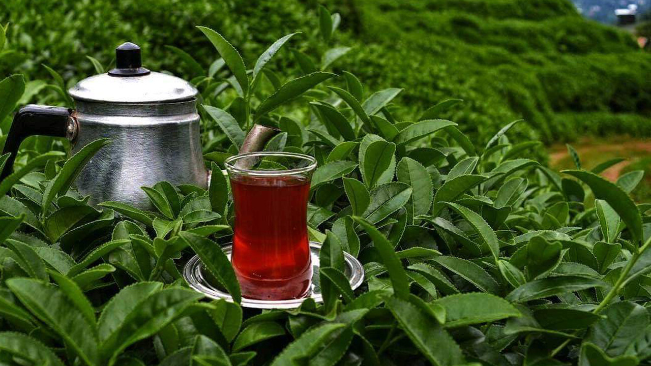ÇAYKUR çaya yüzde 43 zam yaptı Erdoğan'ın açıklamasının ardından hamle geldi