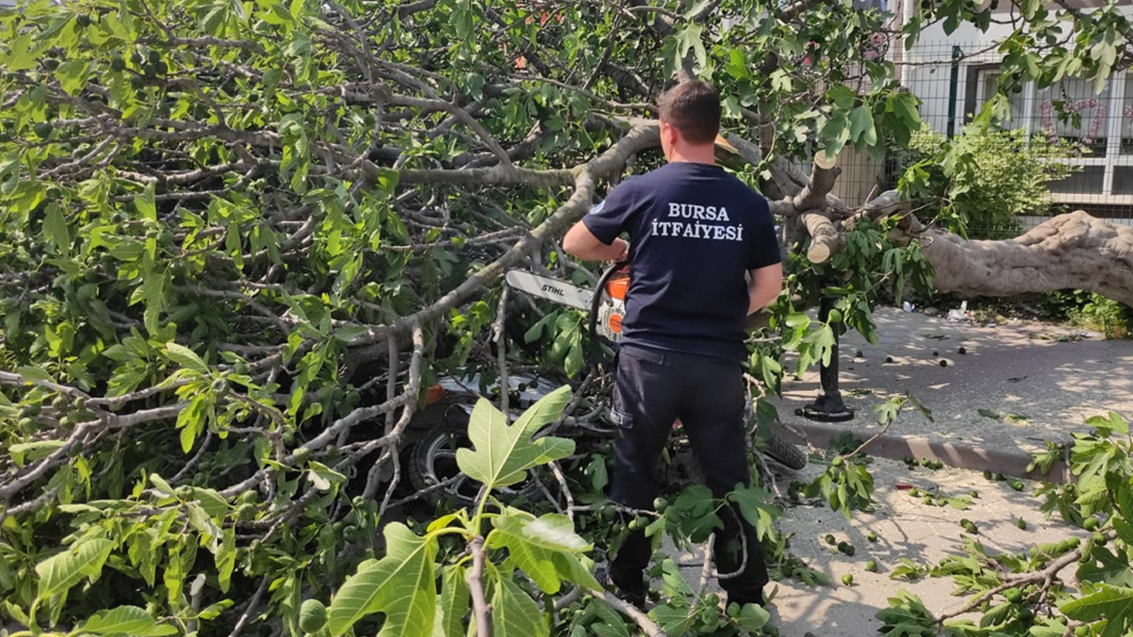 Okul önünde çocuklarını bekleyen iki kadın dehşeti yaşadı!