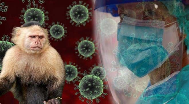 Yeni kabus maymun çiçeği virüsü şimdi de Almanya'da Dünya Sağlık Örgütü acil toplantı kararı aldı