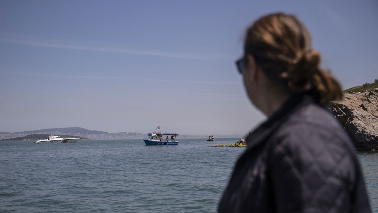 Marmara'da uzun yıllardır görülmemişti! Yeniden ortaya çıktı