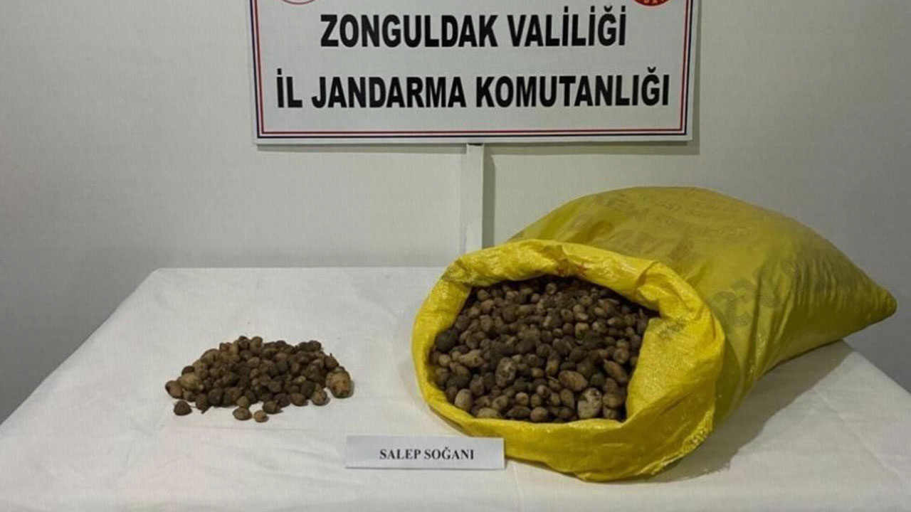 Zonguldak'ta 40 kilo salep soğanı için 218 bin lira ceza yediler