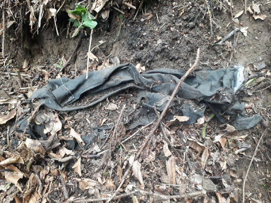 Gümüşhane'de köylüler ormanlık arazide ot toplarken insan kafatası buldu
