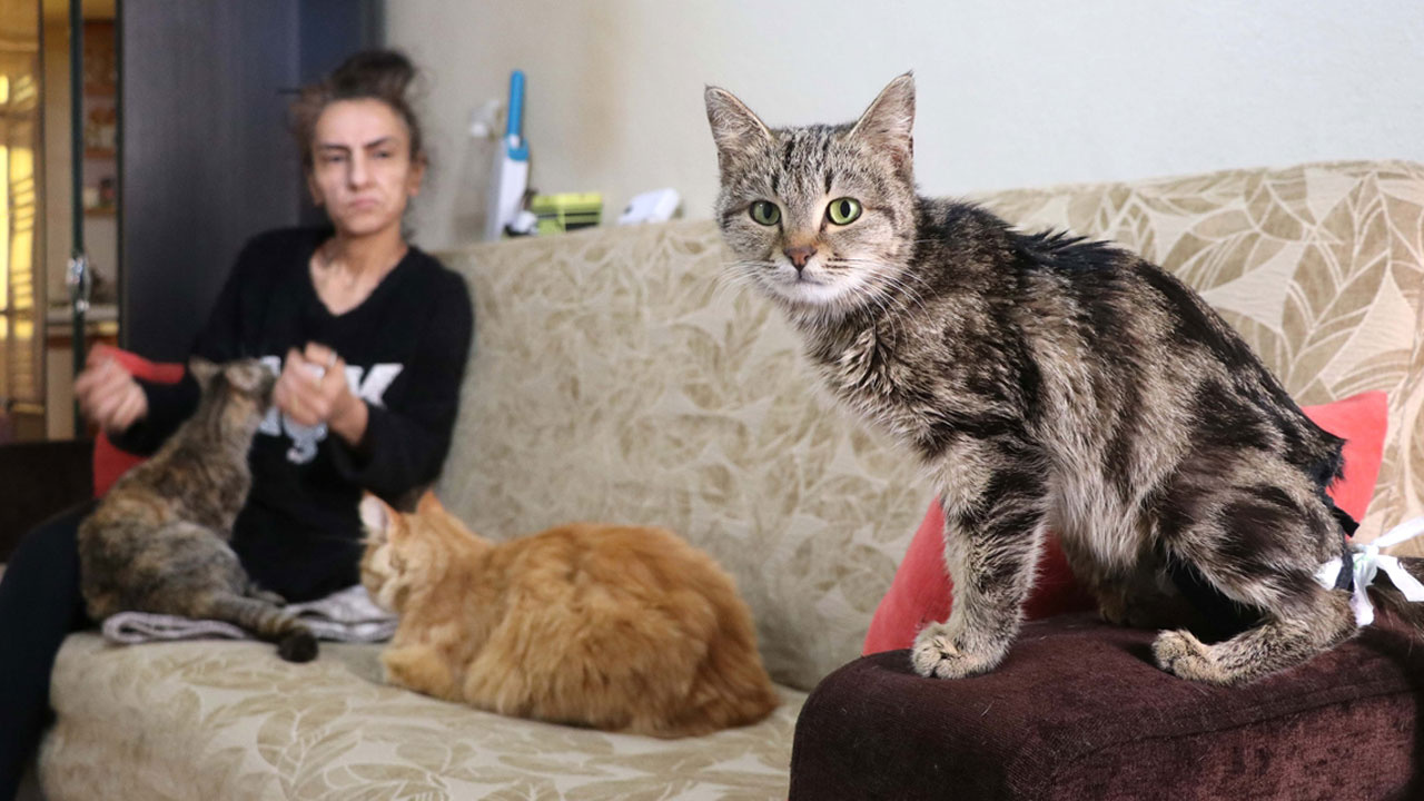 Engelli maaşını 45 kedinin bakımı için harcıyor
