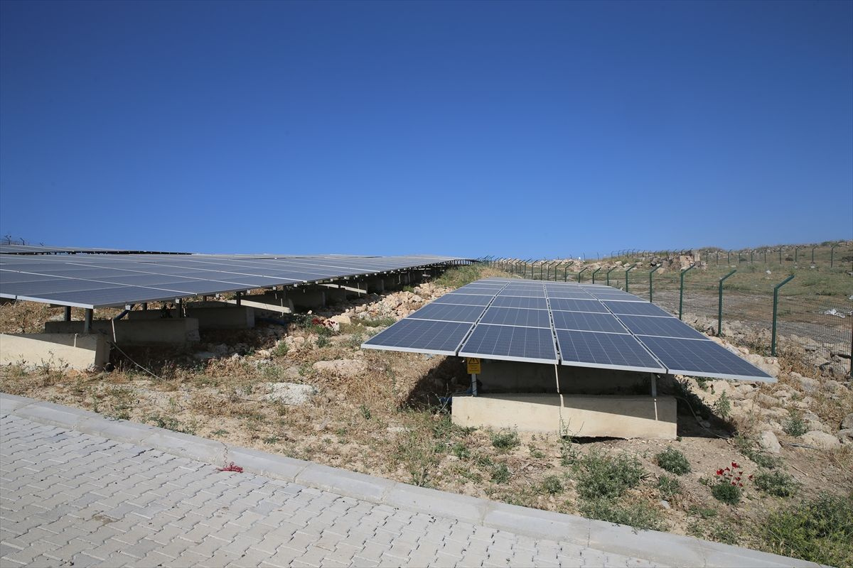Her ay 1 milyon 250 bin lira para akıyor ot bitmeyen tarlayı güneş enerjisine çevirdi