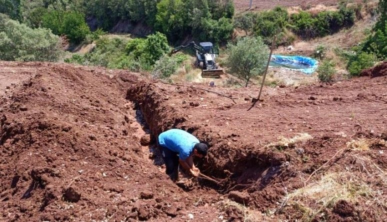 Manisa'da su kanalından çıkan 2 metrelik kunduz görenleri şok etti: 'Bu nasıl kunduz?'