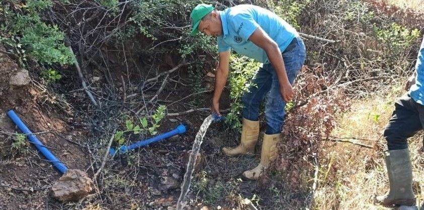 Manisa'da su kanalından çıkan 2 metrelik kunduz görenleri şok etti: 'Bu nasıl kunduz?'