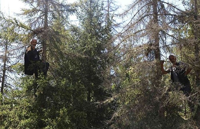 Fiyatı gram altın ile yarışıyor! Karısı kanser olunca başladı geçim derdine çare oldu