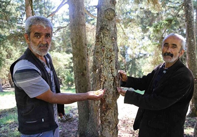 Fiyatı gram altın ile yarışıyor! Karısı kanser olunca başladı geçim derdine çare oldu