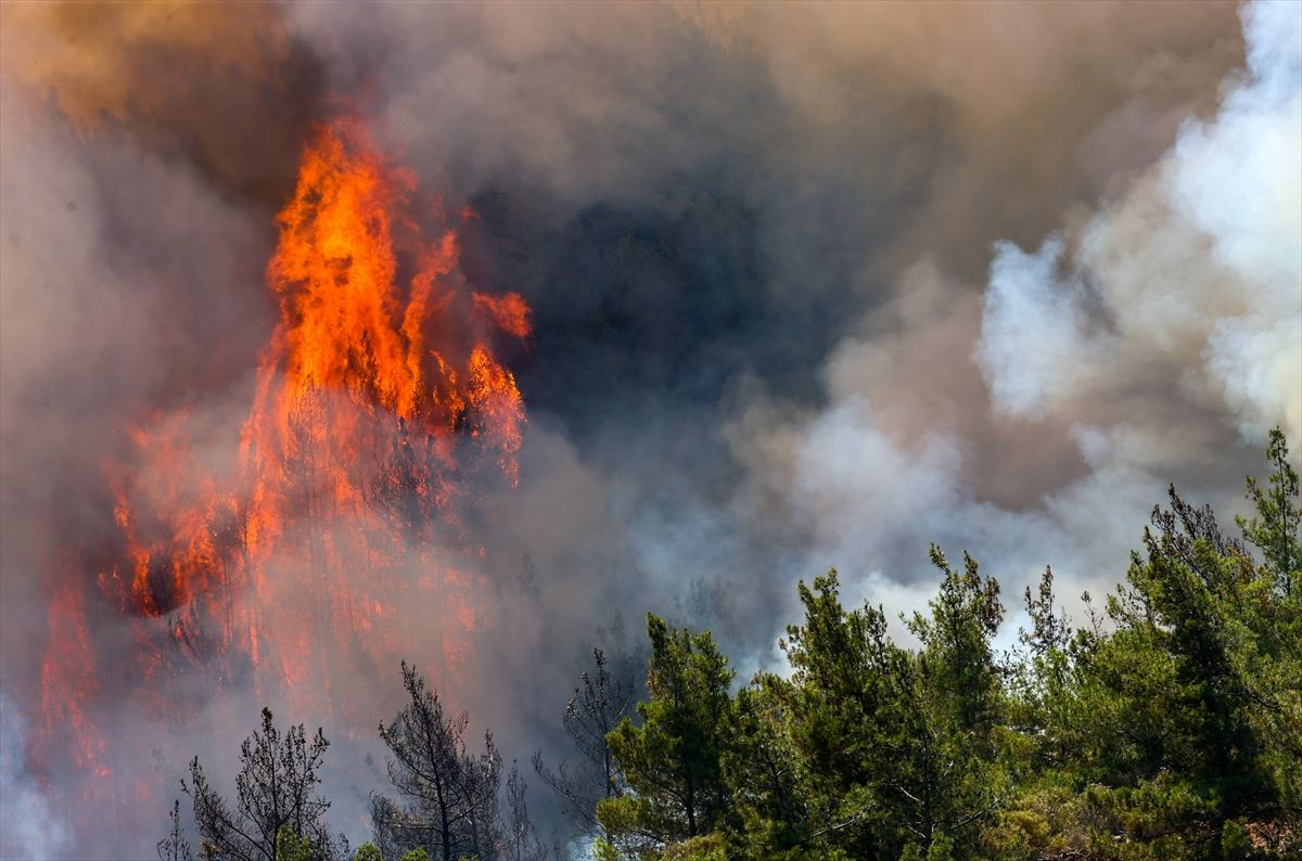 Marmaris orman yangınında son durum ne? Orman yangını devam ediyor mu? İşte yangın bölgesindeki son gelişmeler