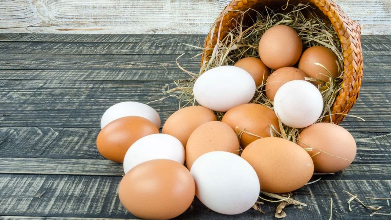 Yumurta fiyatları soruşturmasında itiraflar peş peşe geldi Rekabet Kurumu Başkanı Küle'den önemli açıklamalar