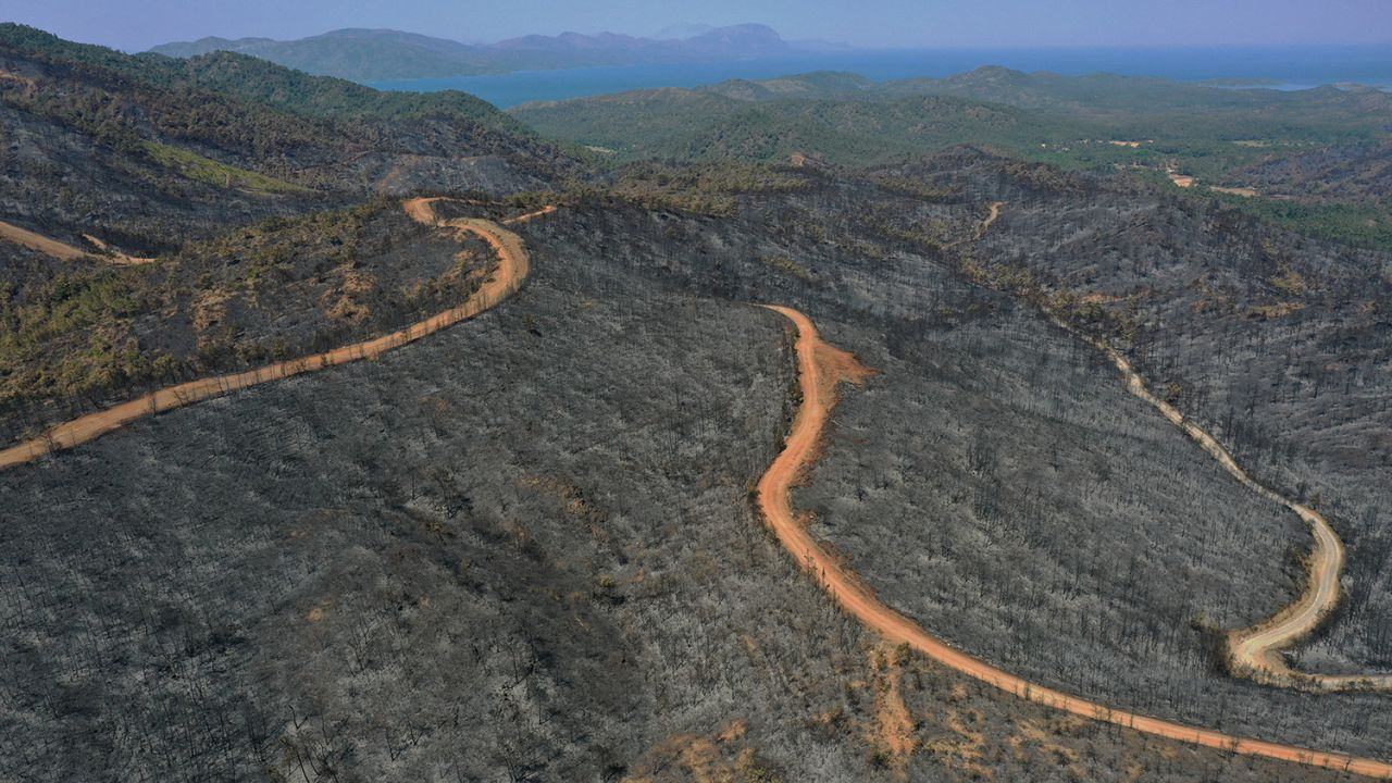 Marmaris orman yangınında son durum iç acıtan kareler drone ile çekildi