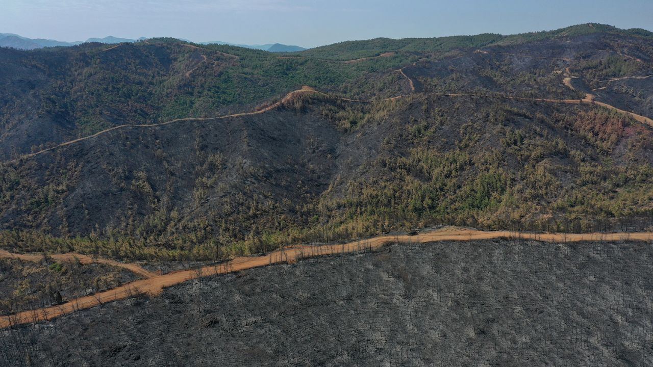 Marmaris orman yangınında son durum iç acıtan kareler drone ile çekildi