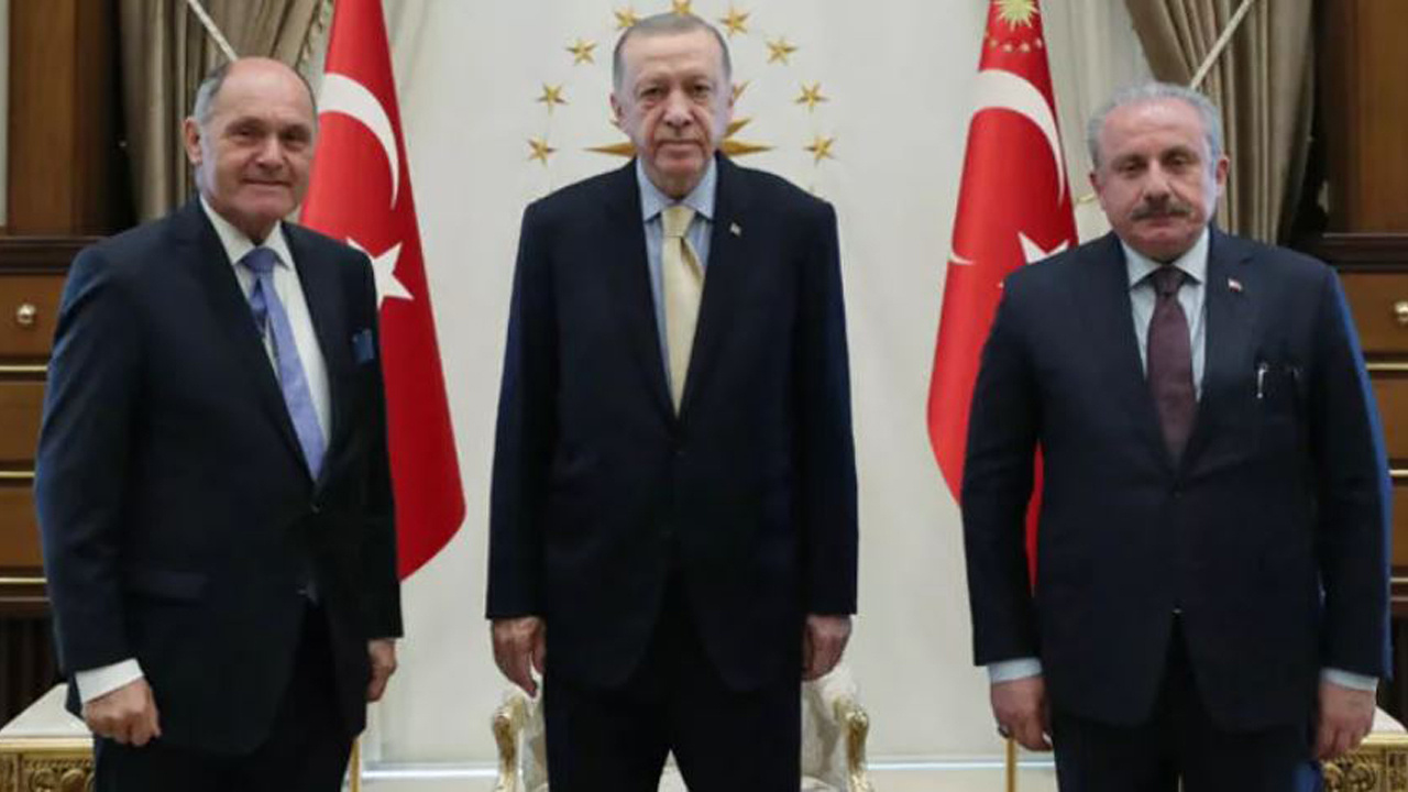Erdoğan, Avusturya Meclis Başkanı Sobotka’yı kabul etti