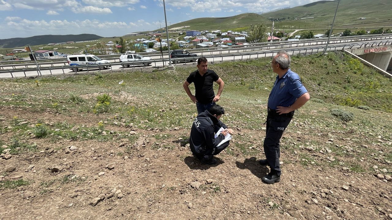 Erzurum'da tırdan kaçan kurbanlık zor anlar yaşattı! Güçlükle yakalandı
