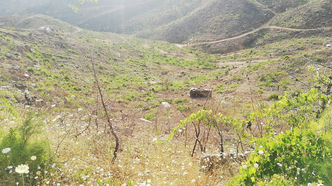 İnek ölüsü ihbarı üzerine gelen ekipler cesetle karşılaştı!