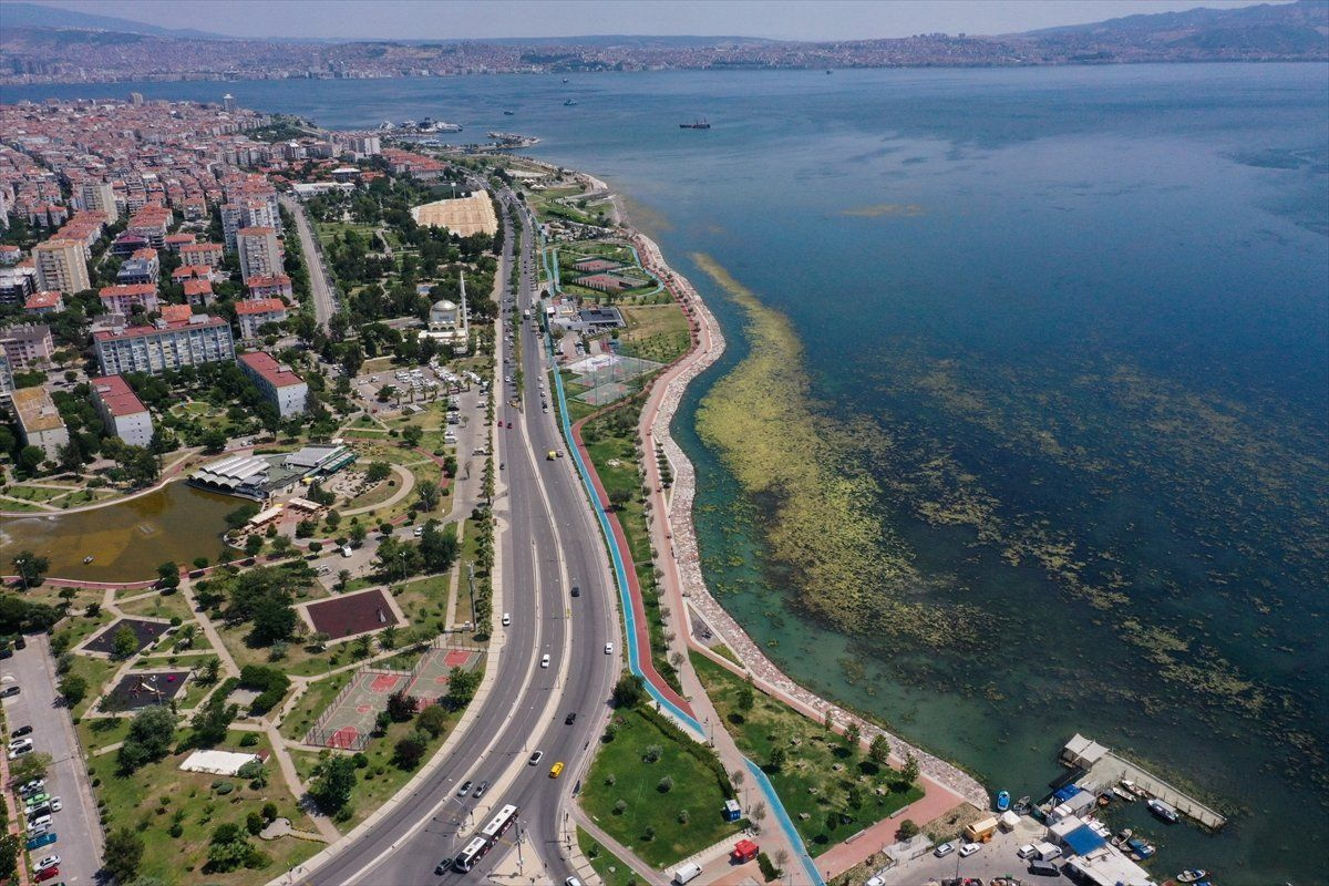 İzmir'deki Bostanlı sahilini yosunlar kapladı
