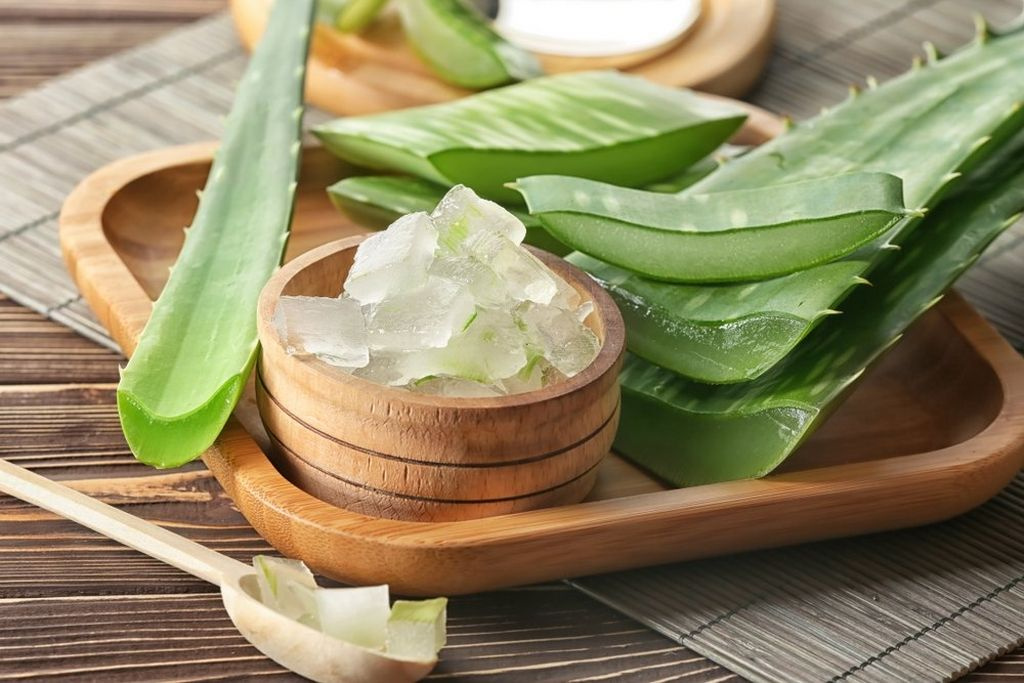 Kozmetik ürünlerinin vazgeçilmezi Aloe Vera'nın sıra dışı faydaları var