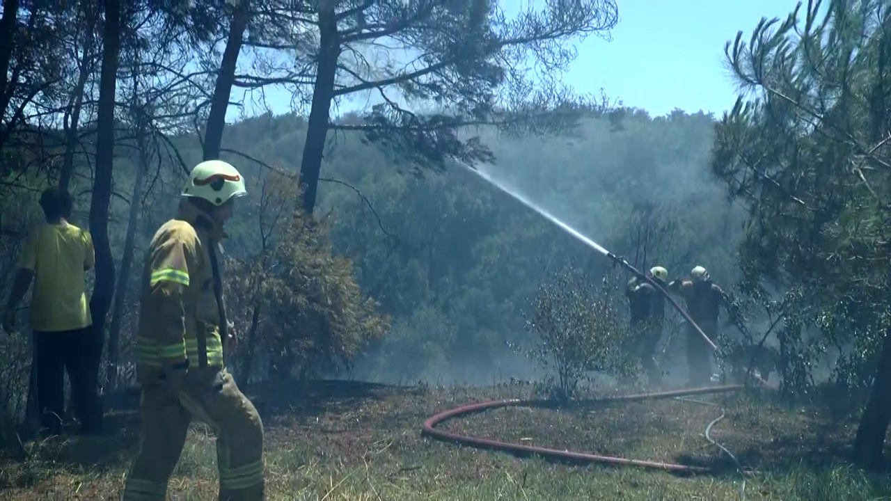 Beykoz'da ormanlık alanda yangın! Evlerin bulunduğu alana ilerlemesi panikletti