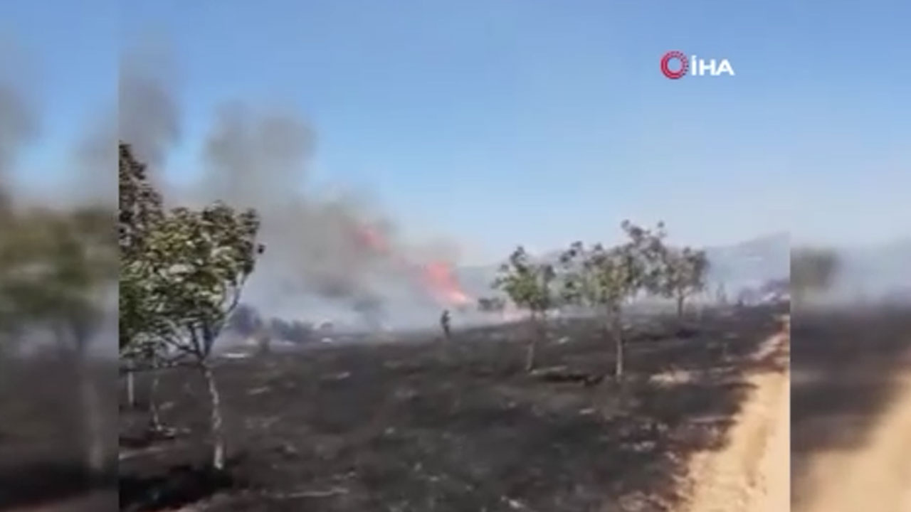 Çanakkale'de orman yanıyor! Rüzgar da çok fena işte son durum