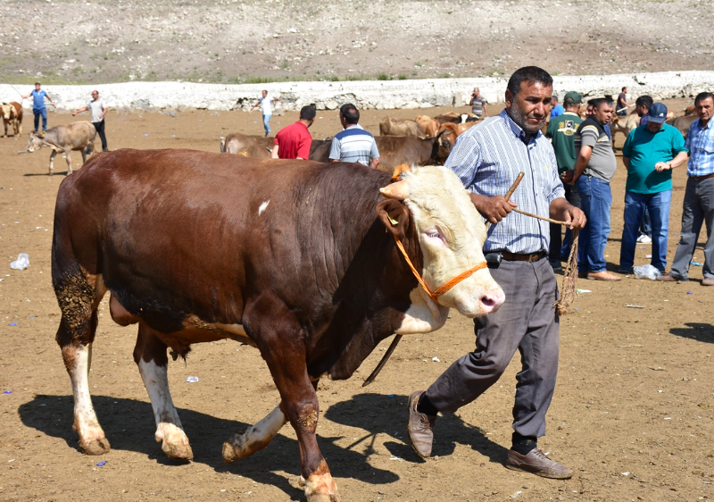 Kurban keserken okunacak dualar hangisi Arapça okunuşu kurban keserken okunan zikirler