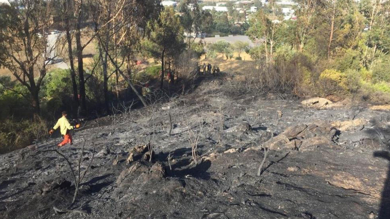 Mersin'deki yangın ormana ramak kala söndürüldü