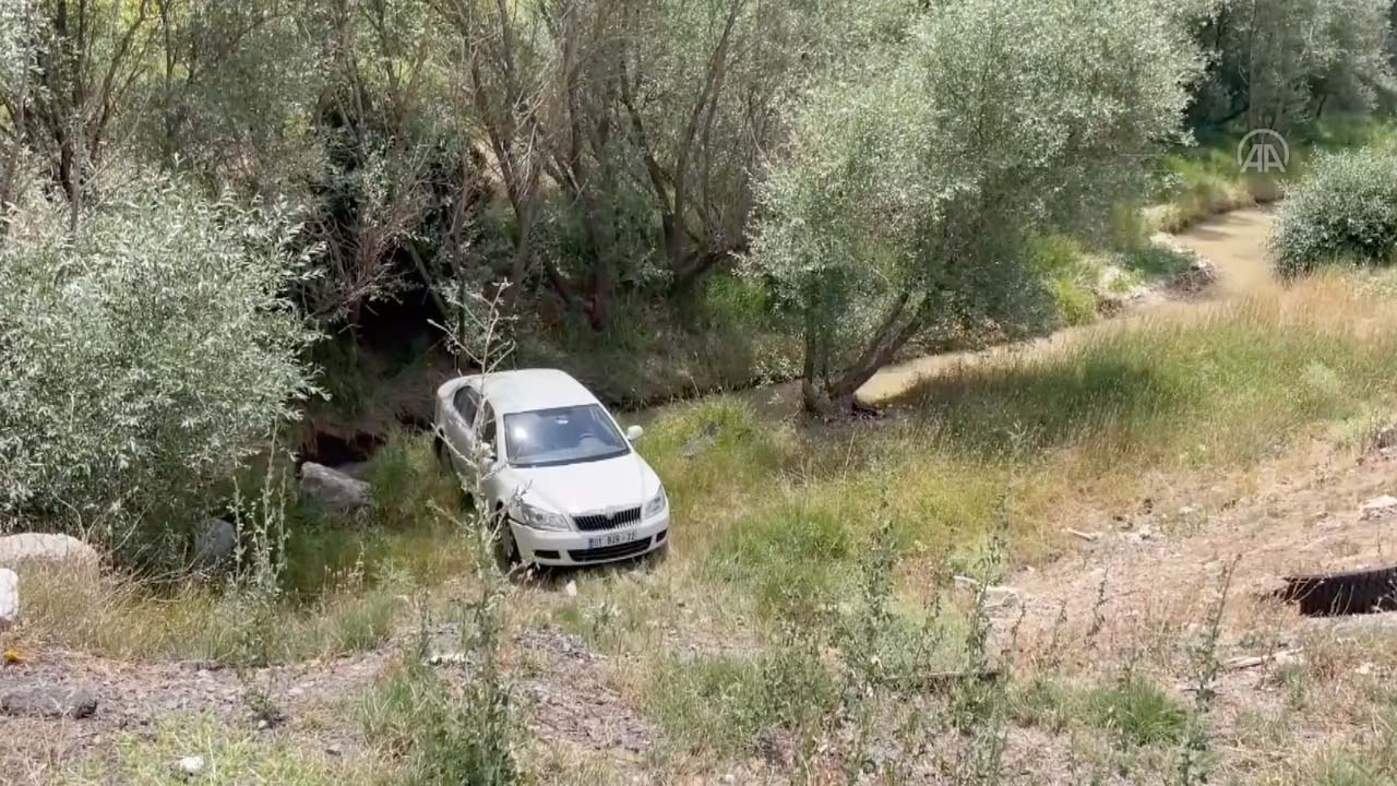 Bayram ziyaretine giderken sürücüyü arı sokunca kaza yaptılar