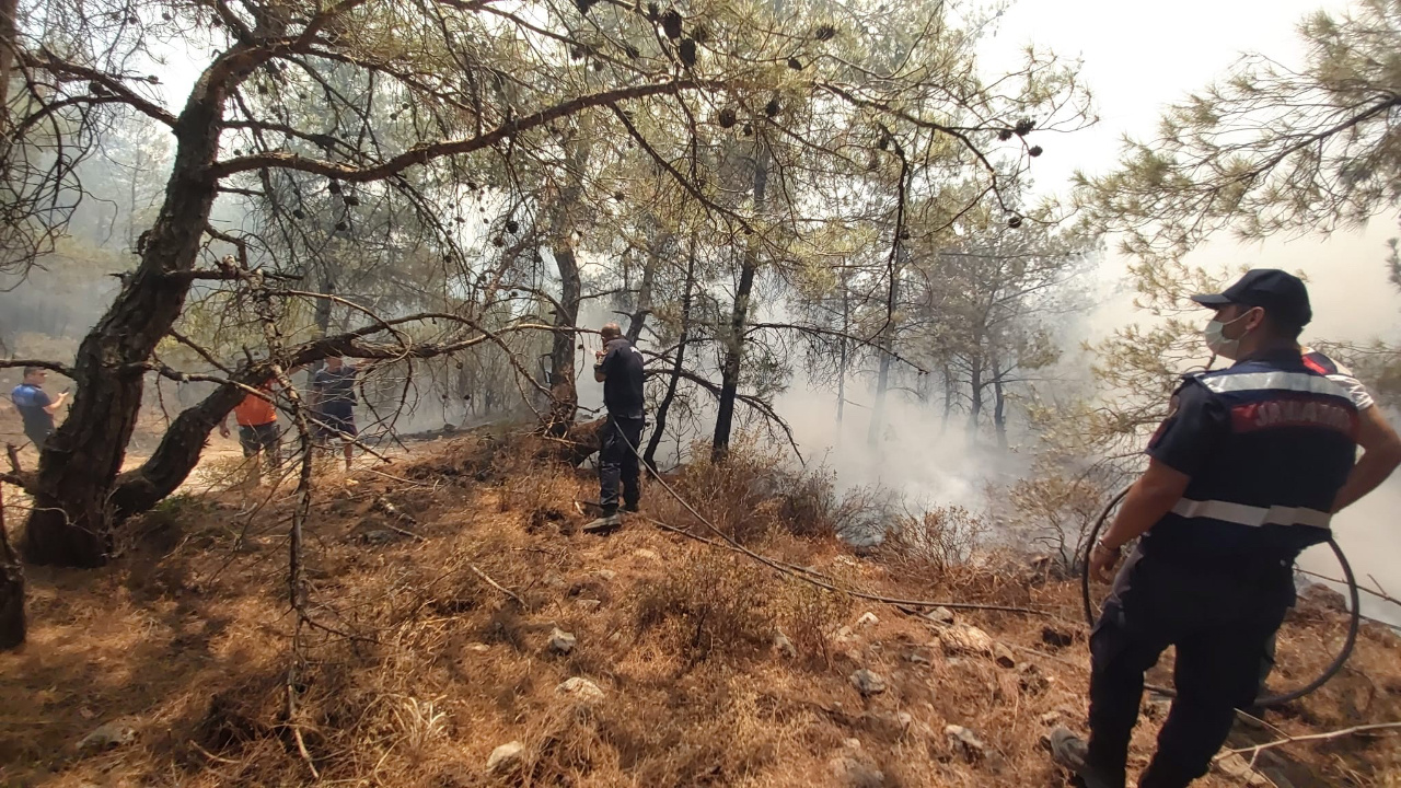 Datça'da orman yangını rüzgar nedeniyle kısa sürede yayıldı! AFAD'dan açıklama