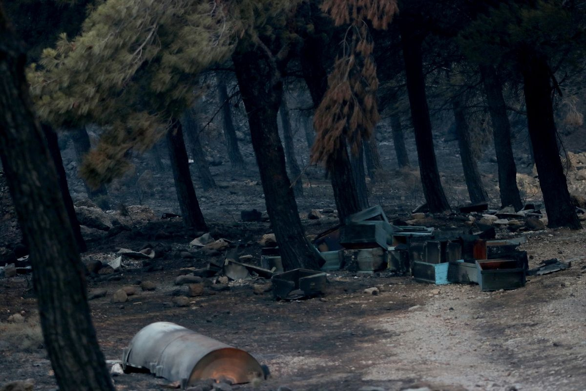 Datça orman yangınında ikinci gün! Bakan Kirişçi yangındaki müjdeyi verdi