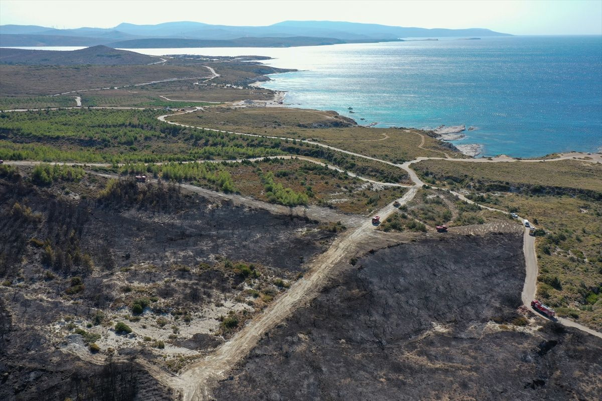 Çeşme yangını yanan alanlardan yürek yakan görüntüler! Havadan çekildi