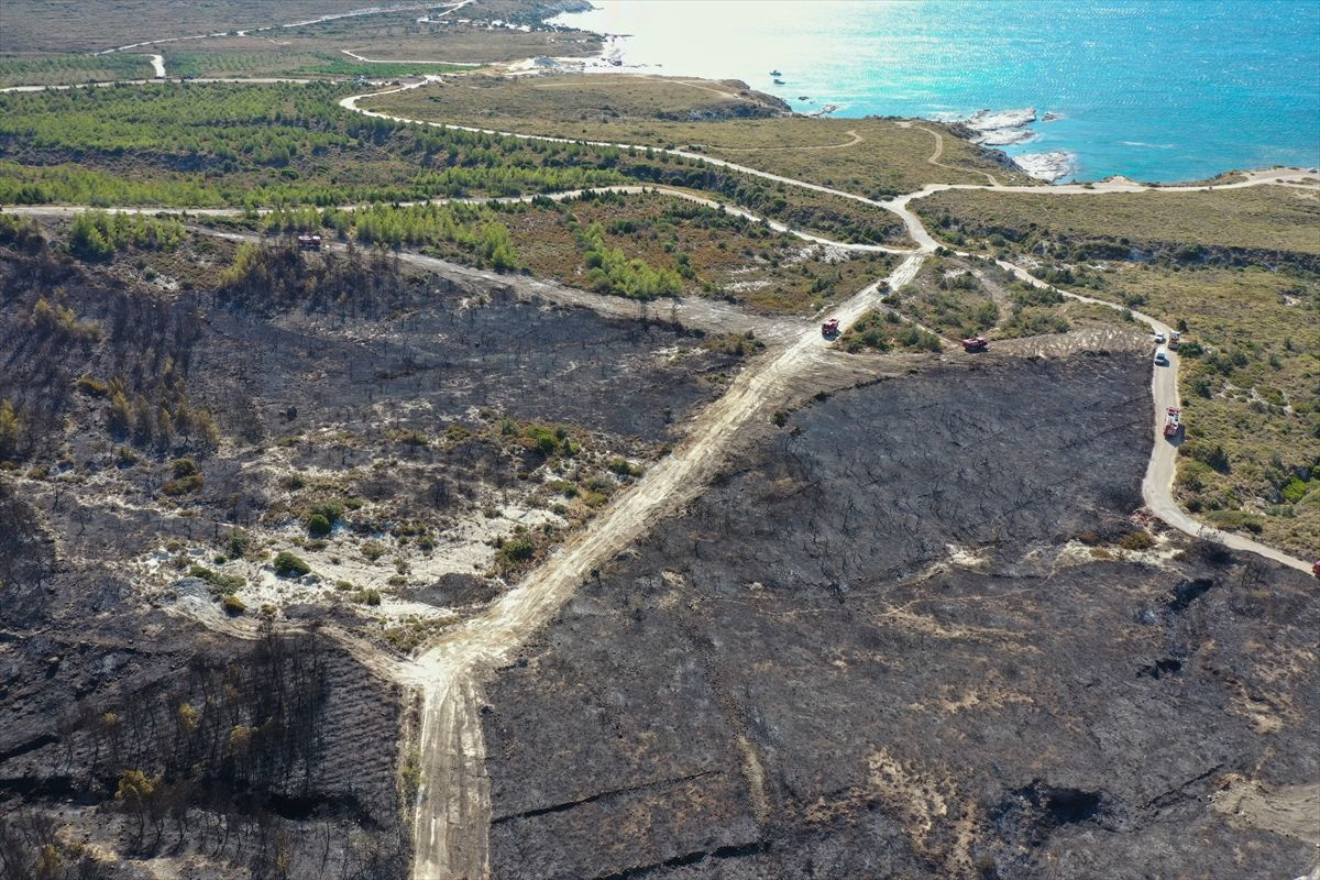 Çeşme yangını yanan alanlardan yürek yakan görüntüler! Havadan çekildi