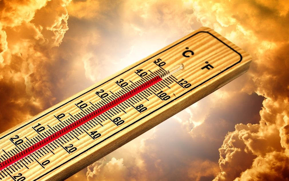 Aşırı sıcak hava dalgası Avrupa ülkelerine ölüm getirdi! Binden fazla kişi sıcaktan öldü